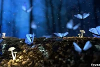 Enchanting DIY Fairy Gardens Your Step by Step Guide