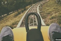 Unbelievable Backyard Roller Coaster A DIY Masterpiece