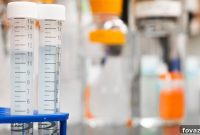 Unlock Your Genetic Secrets with Bento Lab