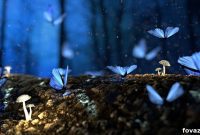Charming DIY Fairy Garden Inspiration and Kits