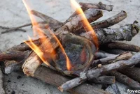 Egg Carton Fire Starters: Your Eco-Friendly Campfire Hack