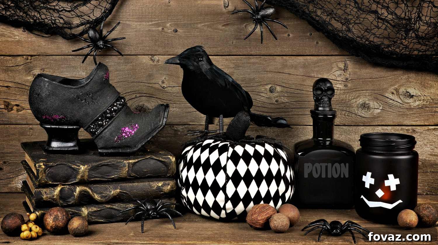 featured 11329