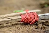 20 Essential DIY Survival Builds