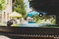 Craft a Beautiful Two-Tier Backyard Fountain in 8 Simple Steps