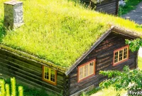 Green Roof Ready: Your Pre-Installation Checklist