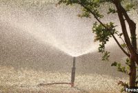 Effortless Sprinkler Head Replacement Guide