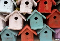 10 Unique Birdhouse Designs to Transform Your Backyard