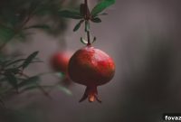 Craft Your Own Wire Hanging Fruit Basket Video