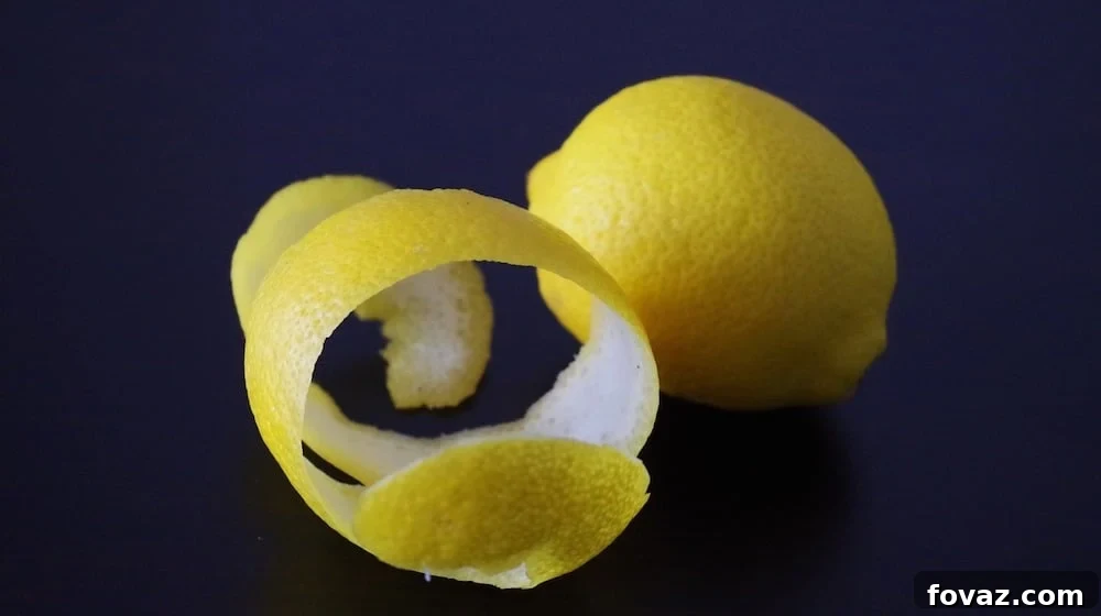 featured 14773