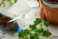 Create Wonders From Waste Bottles Planet-Friendly DIY Projects