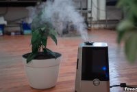 Boost Home Air Quality with a DIY Humidifier