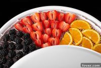 Build Your Own Kitchen Freeze Dryer