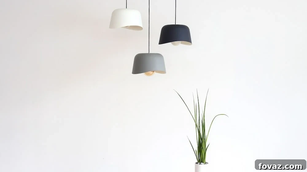 featured 1639