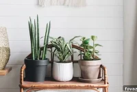 Craft Beautiful Plant Stands: DIY Inspiration for Every Green Thumb