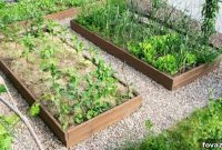 Effortless Oasis: Transform Your Yard with Minimal Work