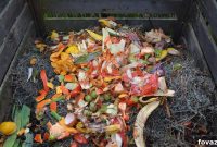 DIY Composting From Kitchen Scraps to Garden Gold