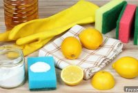 Eco-Friendly Deep Cleaning Solutions for Your Home