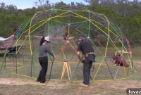 300 Dollar Geodesic Dome Build 268 Square Feet