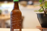 Grow Your Own Kombucha Scoby