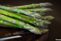Elevate Your Asparagus: 15 Inspiring Recipes