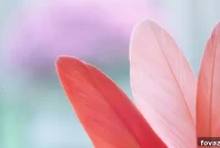 Artful Feather Painting
