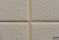Grout Like a Pro A DIY Guide