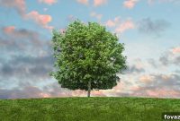 Craft Your Tree of Life