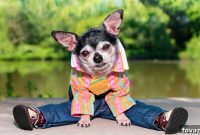 21 Adorable DIY Dog Clothing Projects