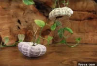 Craft Your Own Jellyfish Air Plants