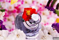 Design Your Signature Fragrance DIY Perfume Crafting