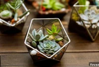 14 Creative DIY Plant Terrarium Designs