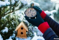 7 Steps to a Captivating Winter Garden Wonderland