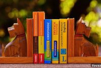 11 Creative Bookend Ideas to Enhance Your Shelves