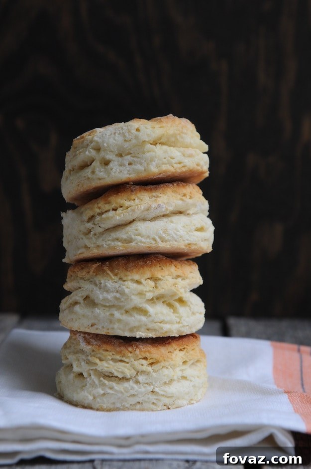 Freshly baked golden brown biscuits in a cast iron skillet