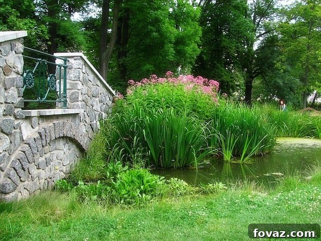 Transform Your Garden, Boost Your Home's Value 2 Beautiful wooden garden bridge over a small stream enhancing a backyard landscape