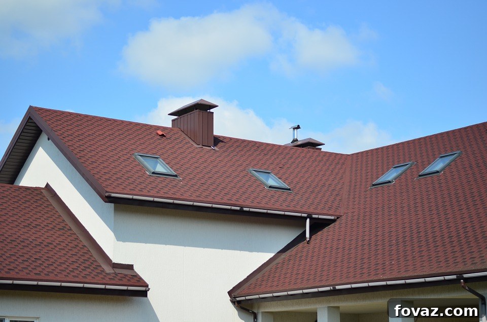 Don't Let a Drip Become a Deluge 2 roof