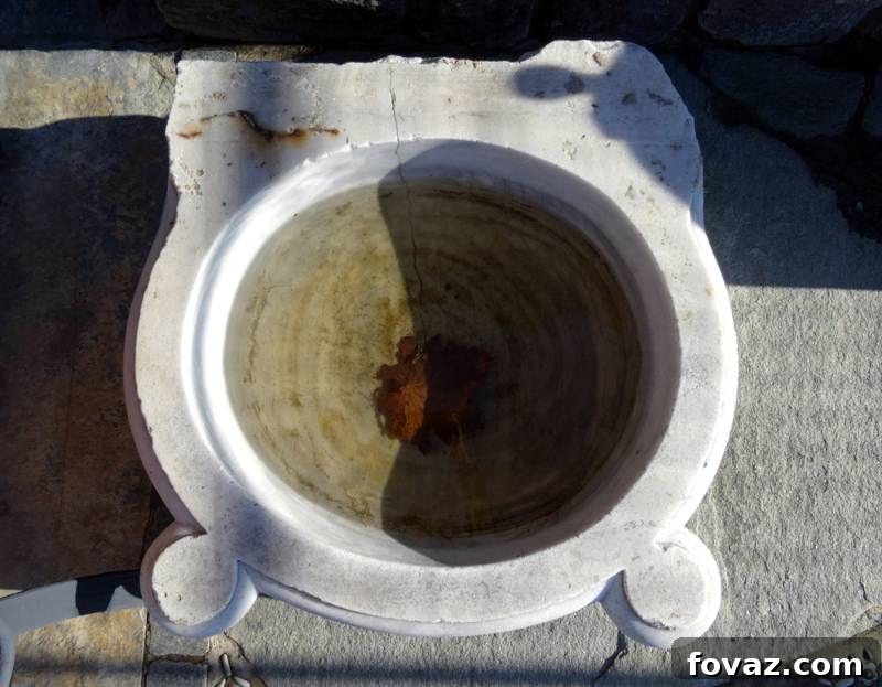 9 Creative & Cheap DIY Bird Bath Ideas 2 old-white-marble-turkish-bath-hammam | Repurpose an old sink into a beautiful bird bath