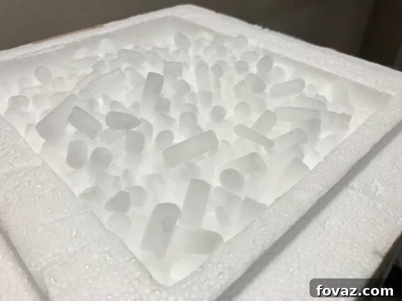 DIY Freeze Dryer using Styrofoam Cooler for Basic Food Preservation