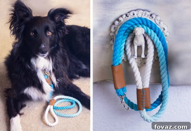 Ombre Rope Dog Leash | DIY Pet Projects