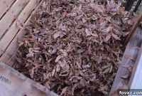Build a Speedy Pallet Compost Bin