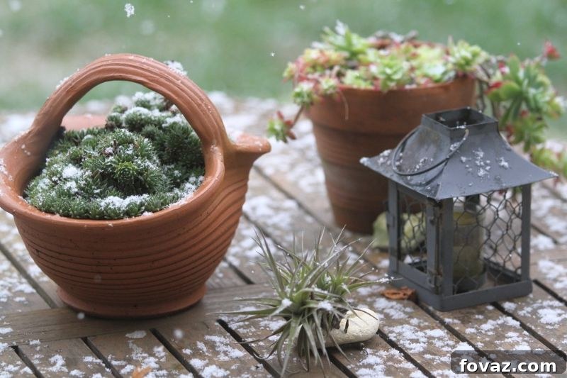 Outdoor decor for winter wonderland garden.