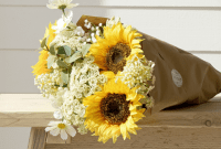 Free Valentine Printables Craft a Bouquet and Shadow Box