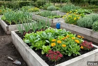 4x8x2 Raised Garden Bed Plans: Free Step-by-Step Build Guide